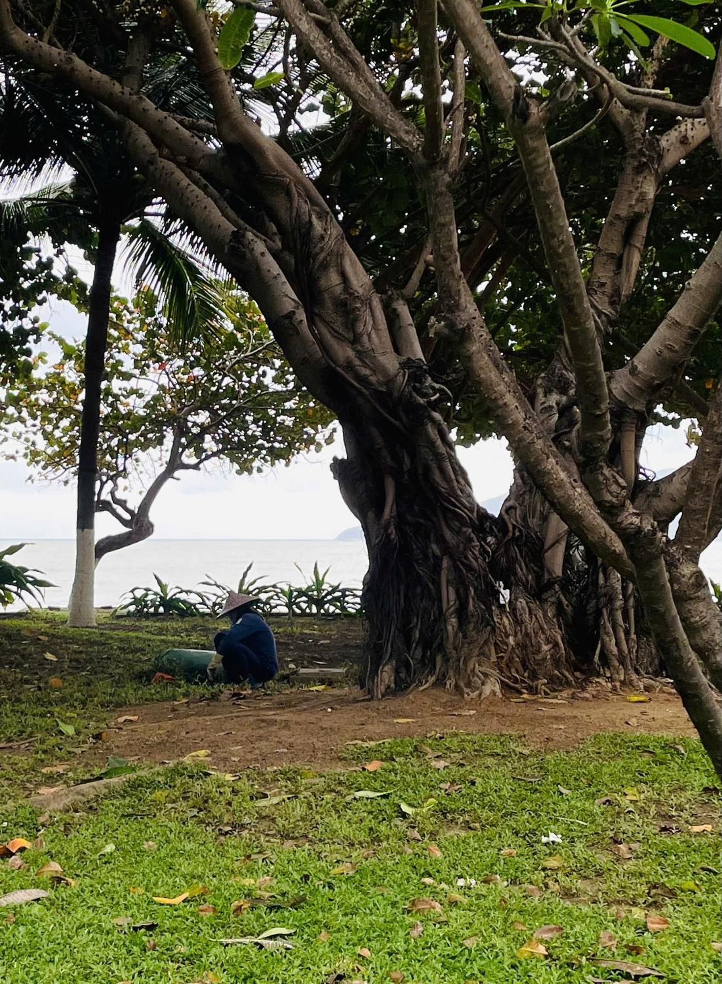 Nhi Phi Hotel Nha Trang Dış mekan fotoğraf